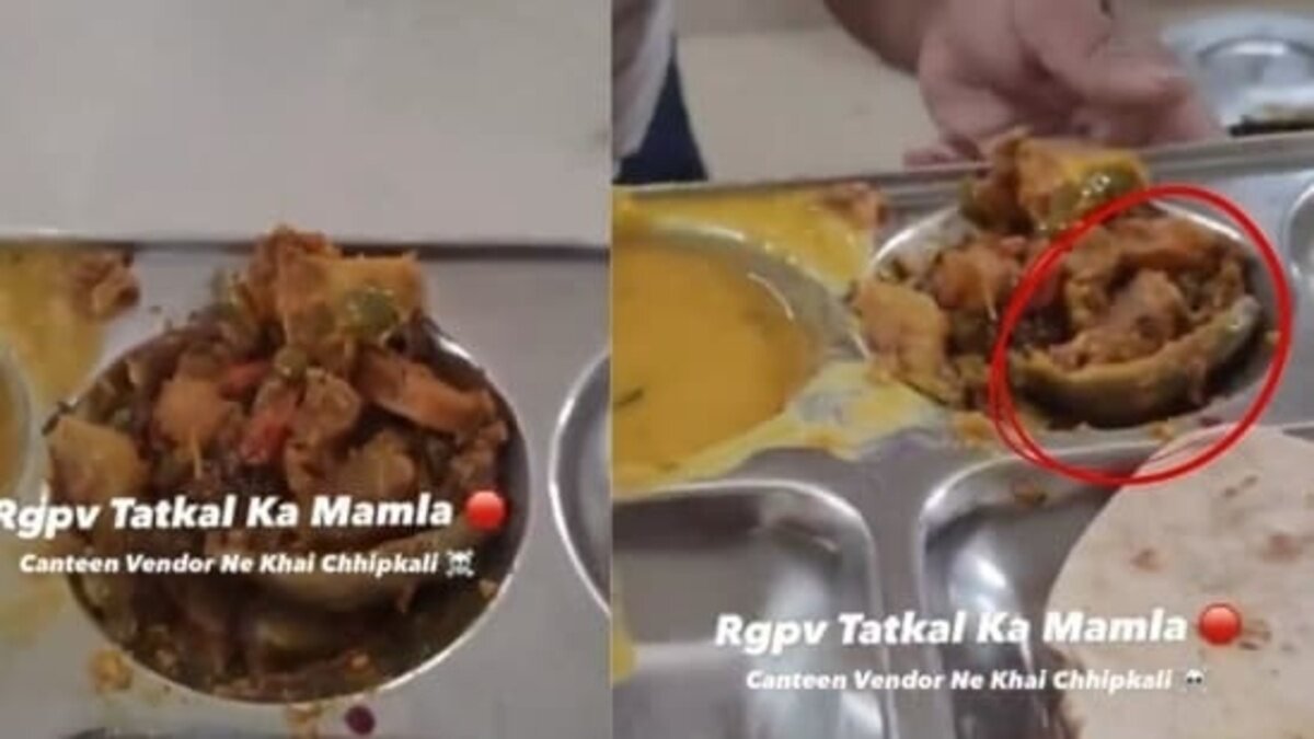 Dead lizard found in Bhopal University meal; canteen staffer claims ‘It’s Capsicum’, eats it to ward off suspicion