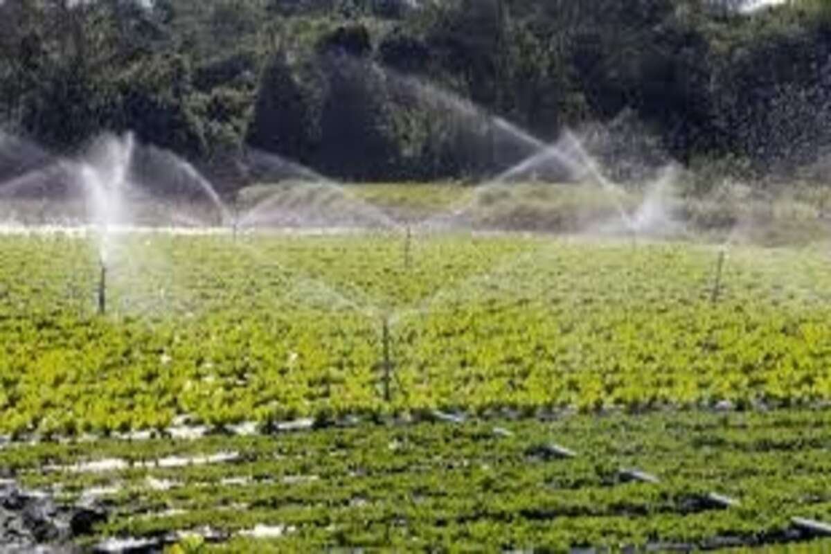 Irrigation in MP