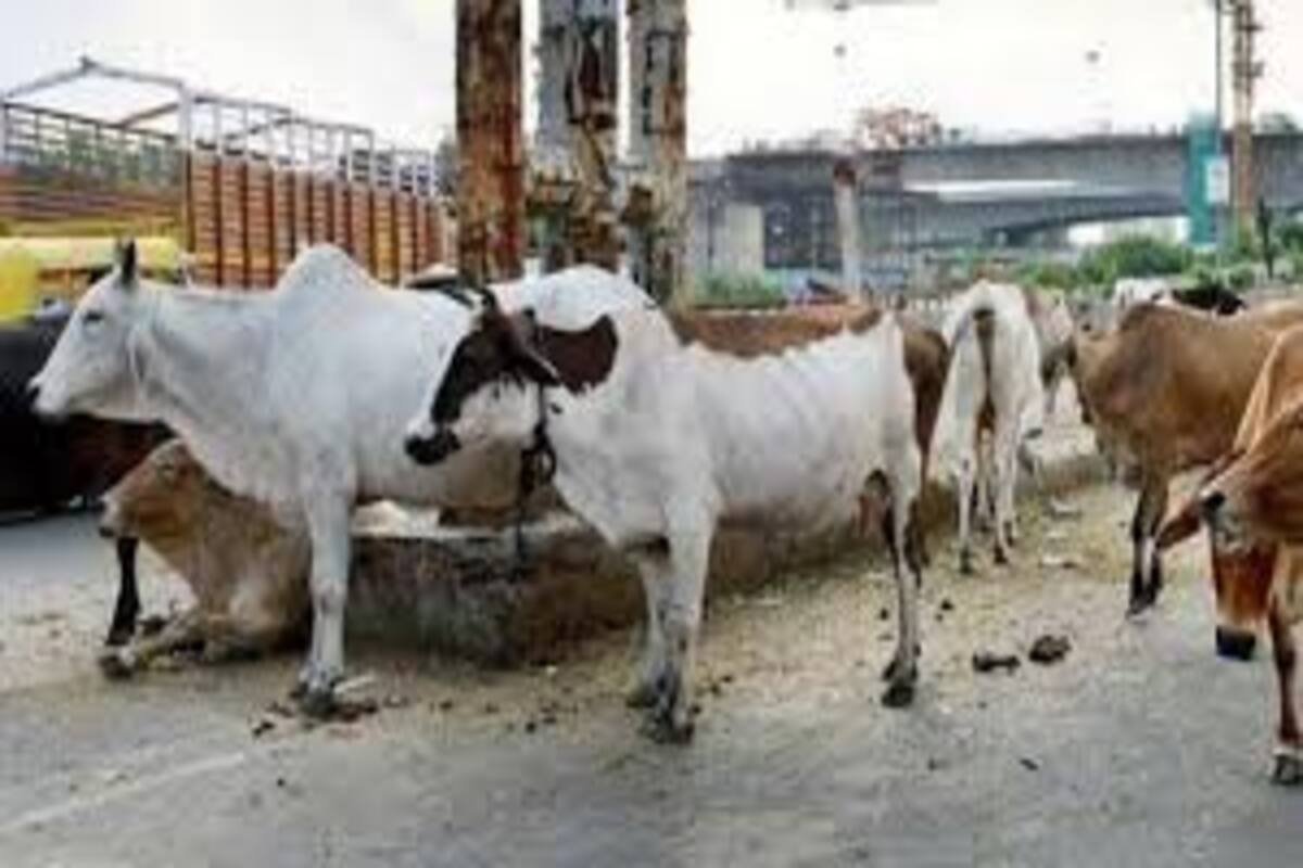 Representative image