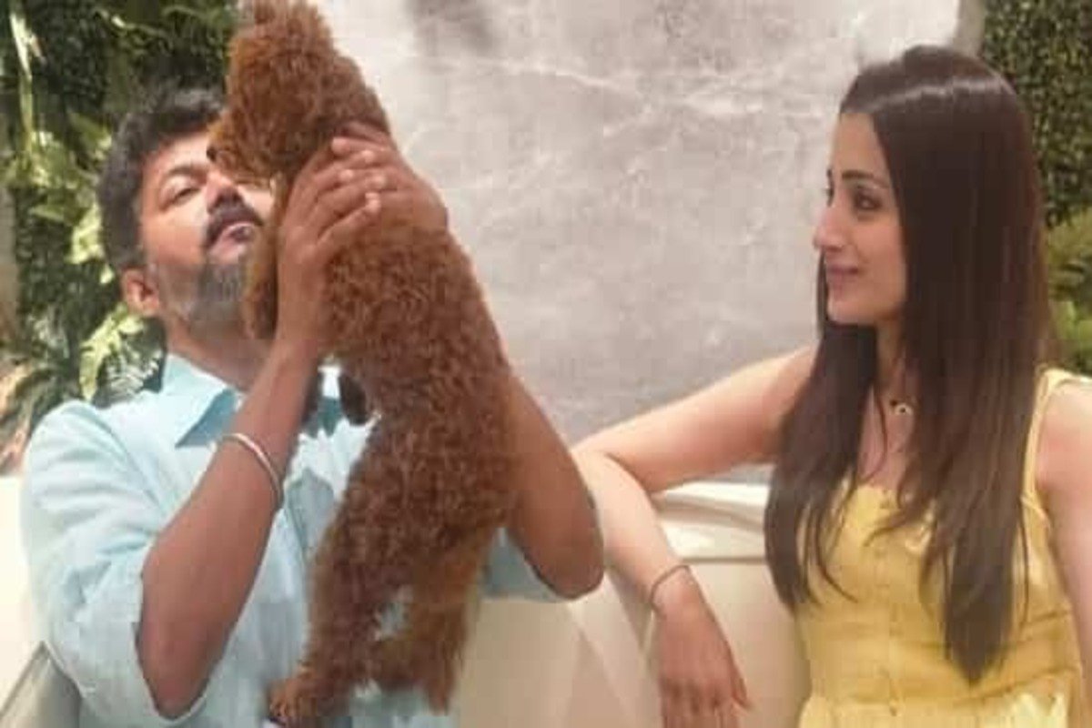 Actress Trisha and Vijay