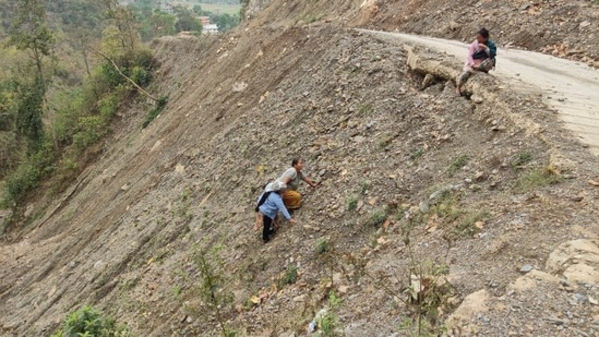7 Indian pilgrims die after bus plunges into 500-feet deep ravine in Nepal
