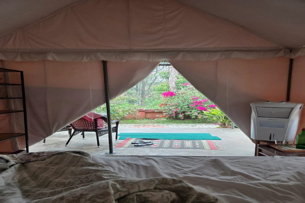 Female US tourist’s rape: Kodagu administration revokes license of homestay where foreign national was violated